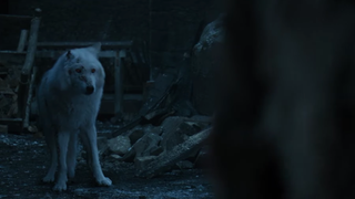 <i>Game Of Thrones</i> director blames CGI for Jon’s lackluster goodbye to Ghost